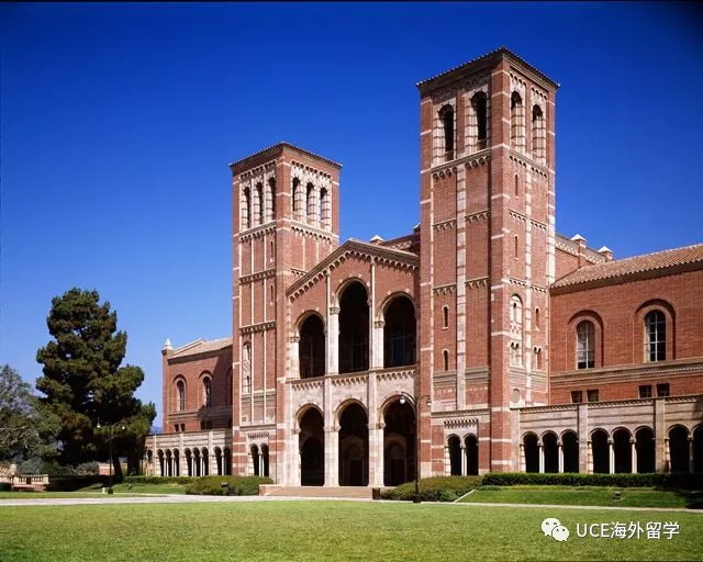 1554778452158238.jpg 640(2).jpg