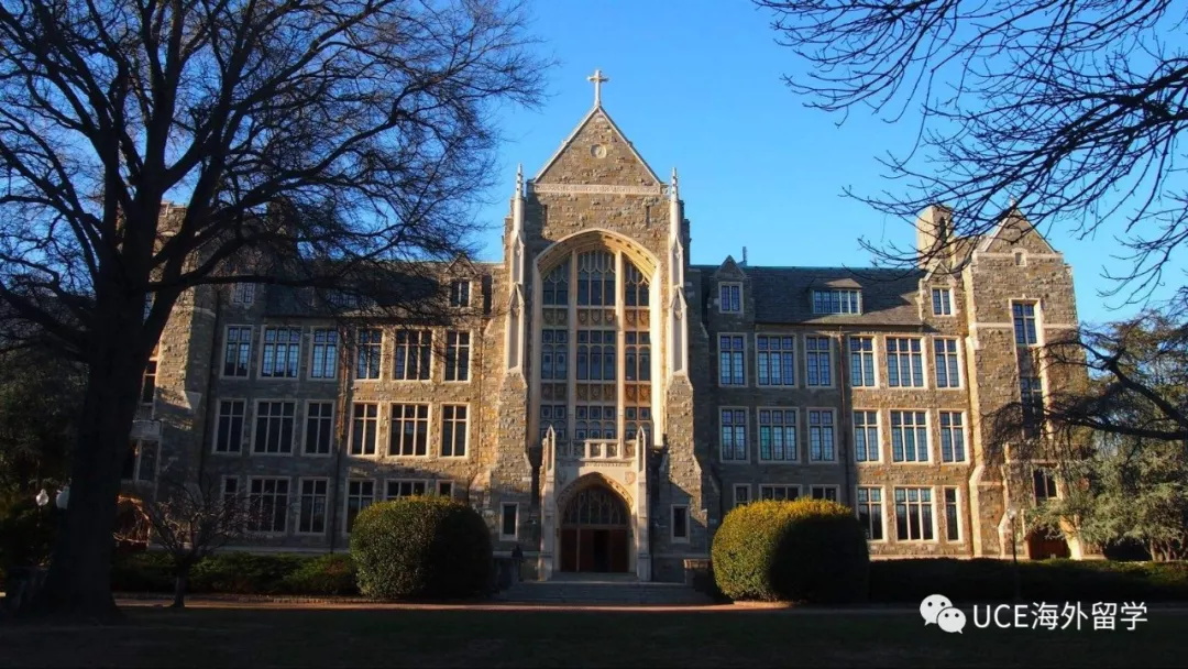 1554778525868721.jpg 640(4).jpg