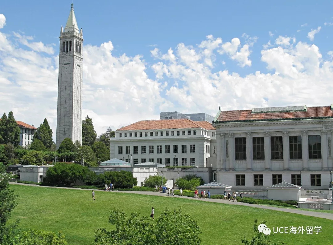 1554778580780423.jpg 640(5).jpg