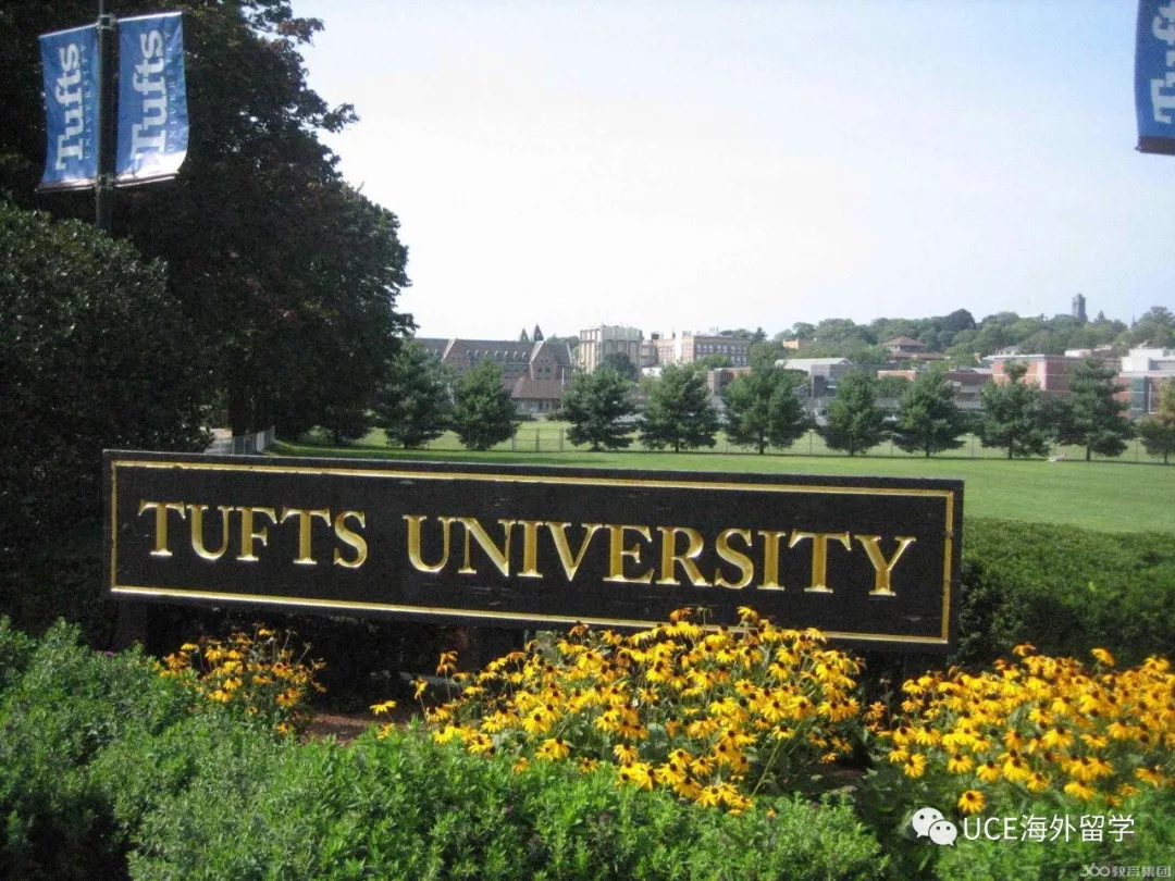 1554778755777479.jpg 640(8).jpg