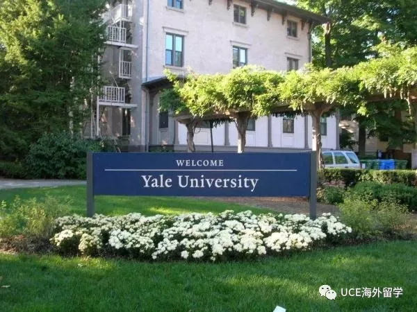 1554780252638778.jpg 640(6).jpg