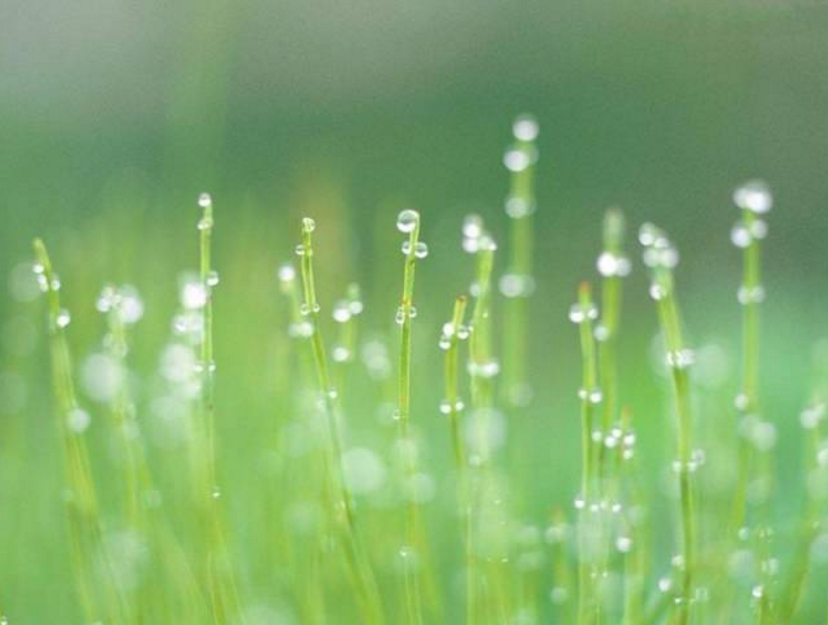 1554876433465340.png blob.png