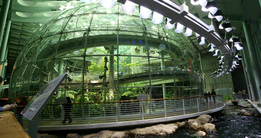 1555038014976203.png blob.png